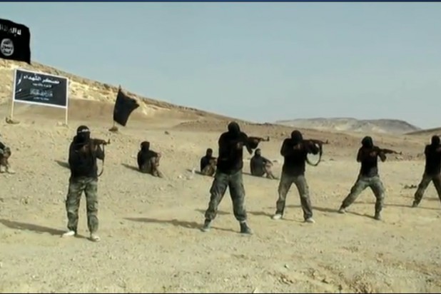 عناصر مسلحة في سيناء