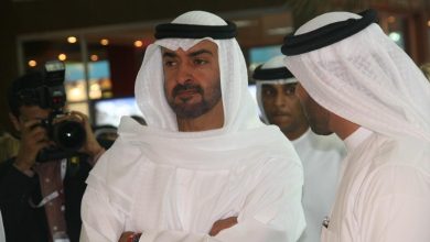 محمد بن زايد watan.com