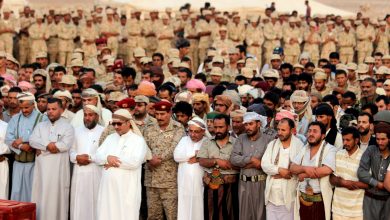 الأعداد الحقيقة لقتلى التحالف باليمن watan.com