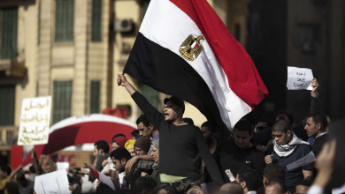 الثورة المصرية watan.com