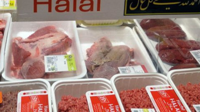 السياحة الحلال watan.com