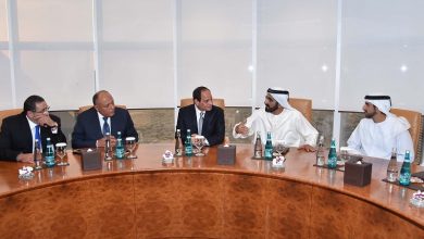 السيسي وشيوخ الامارات watan.com