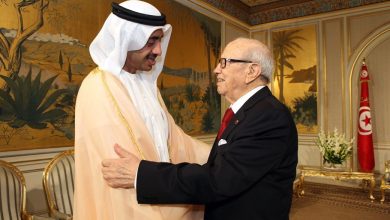 السبسي ووزير الخارجية الإماراتي الشيخ عبدالله بن زايد آل نهيان watan.com