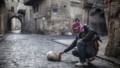 الحرب السورية watan.com