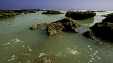 جزر الحلانيات watan.com