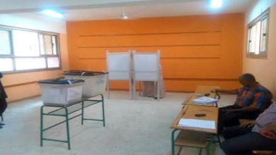 الانتخابات المصرية watan.com