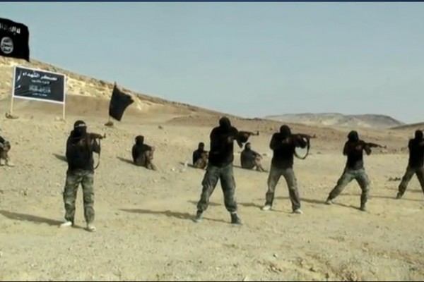 عناصر مسلحة في سيناء watan.com