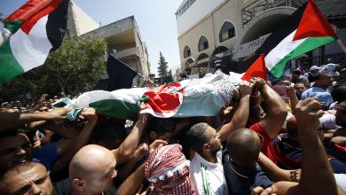 الشهيد أبوخضير watan.com