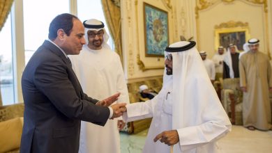 السيسي في الإمارات watan.com
