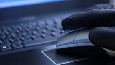 الجرائم الالكترونية في الامارات watan.com