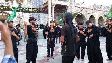 شيعة العراق watan.com