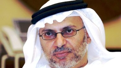 أنور قرقاش watan.com