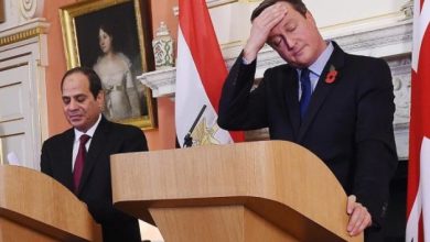 السيسي وكاميرون خلال مؤتمر صحفي watan.com