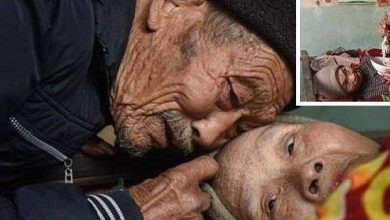 مسن صيني يترك عمله ليرعى زوجته المشلولة watan.com