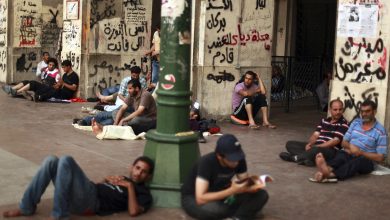 الشباب المصري watan.com
