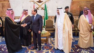 العاهل السعودي والسيسي watan.com