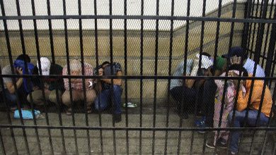 اعتقالات في مصر watan.com