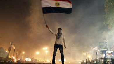الثورة المصرية watan.com