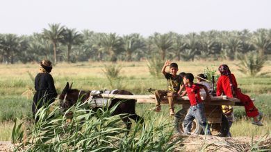العراق watan.com