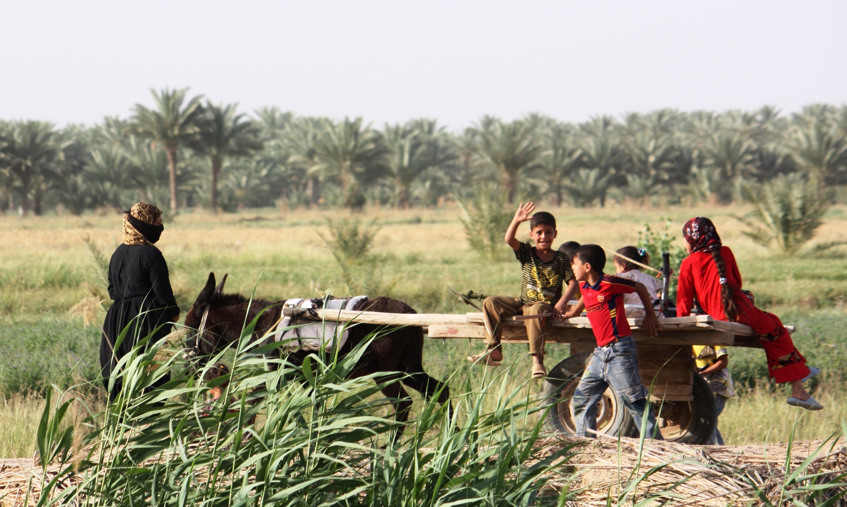العراق watan.com