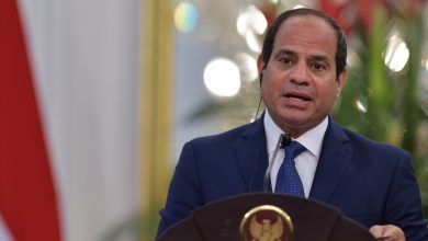 الرئيس المصري عبد الفتاح السيسي watan.com