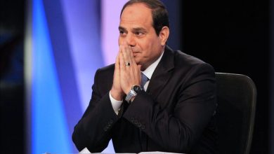 الرئيس المصري عبد الفتاح السيسي watan.com