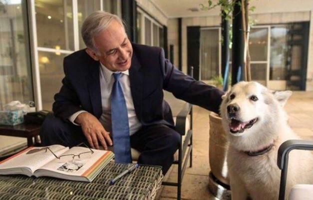نتنياهو مع كلبه watan.com