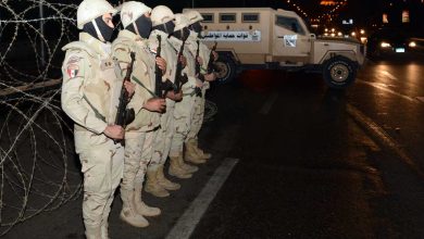 الجيش المصري watan.com