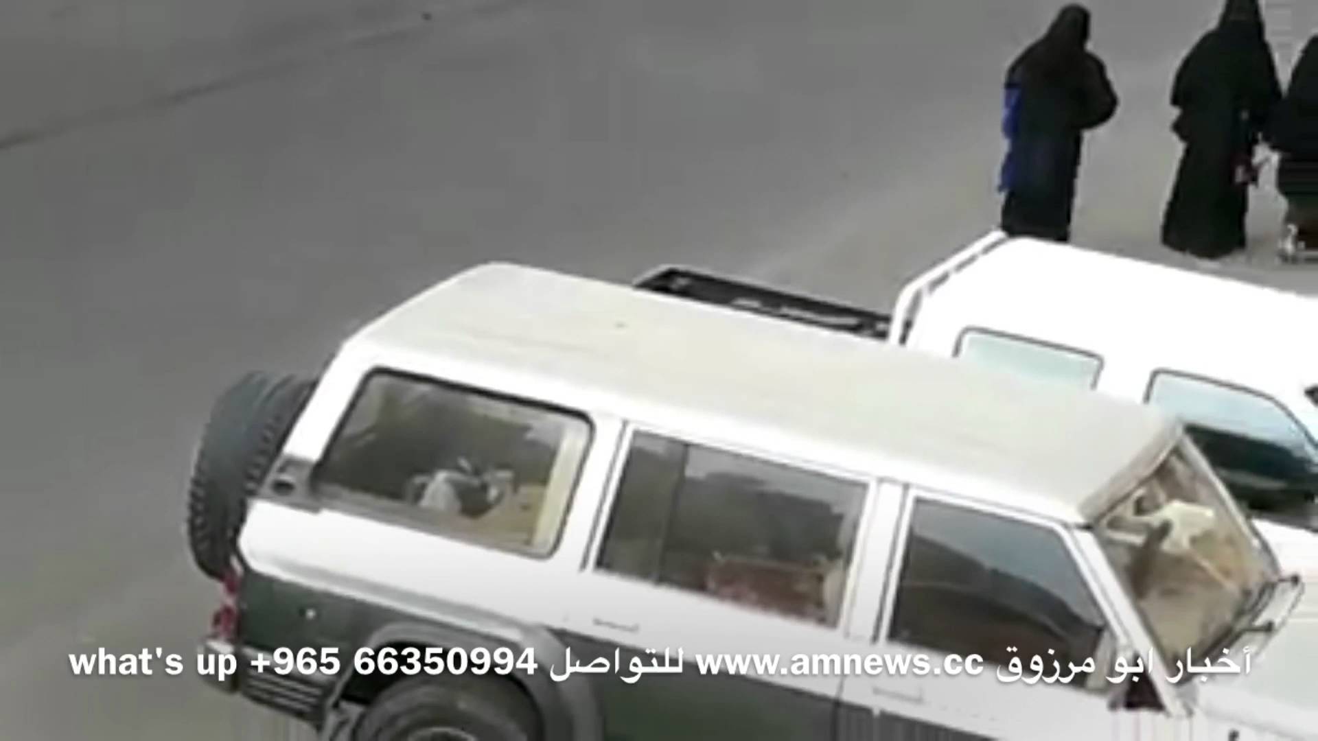 watan.com