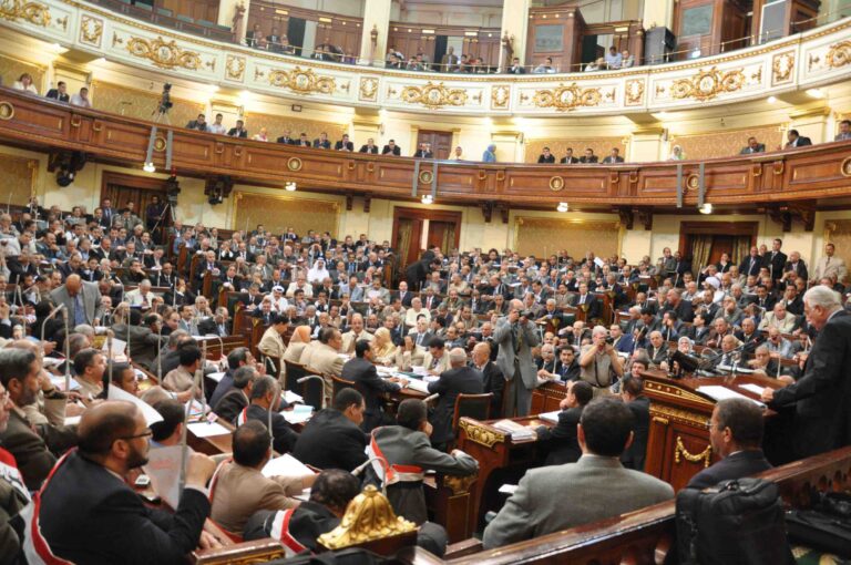 البرلمان المصري watan.com