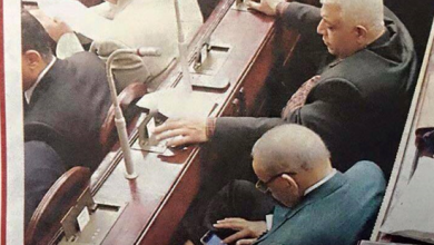 البرلمان المصري watan.com