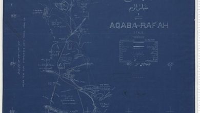 خريطة سيناء watan.com