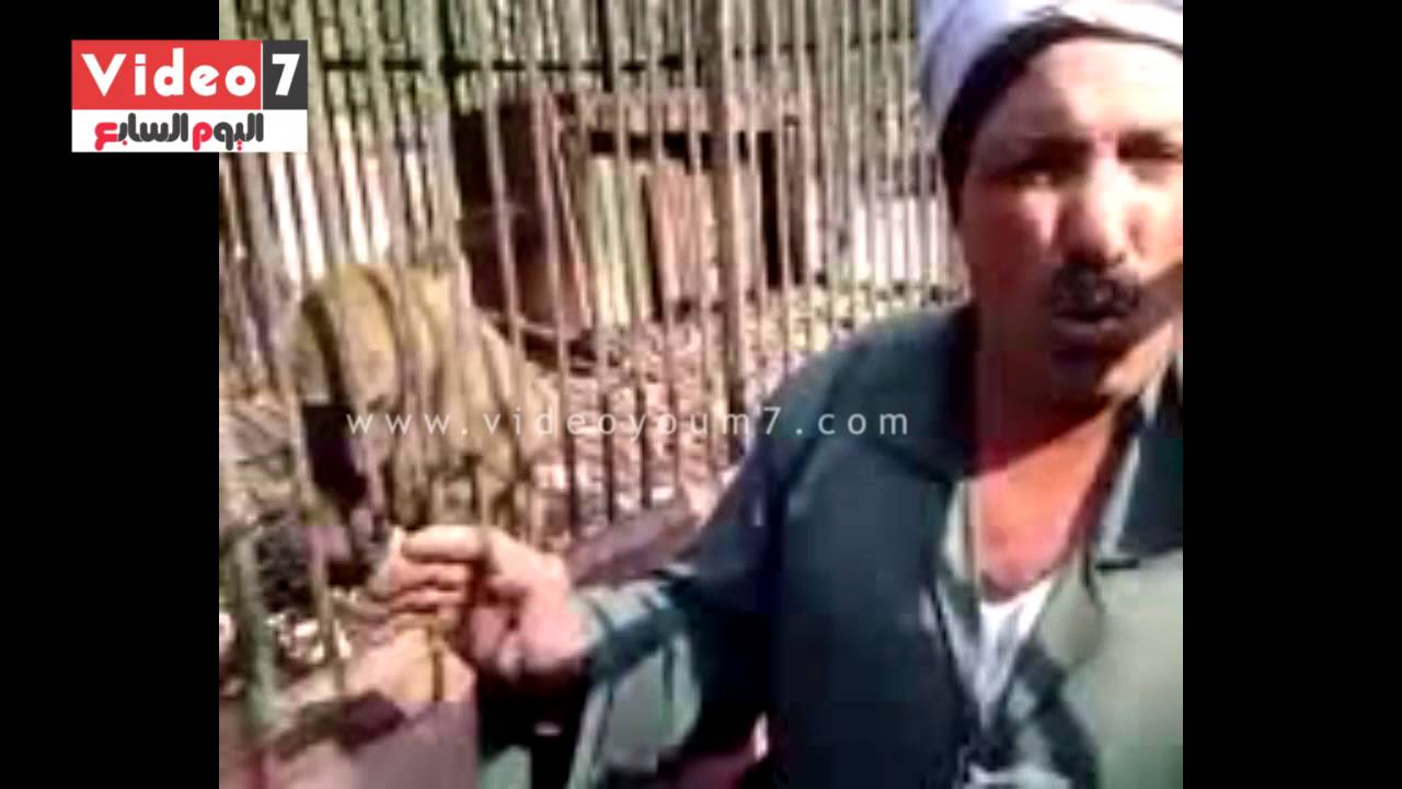 watan.com