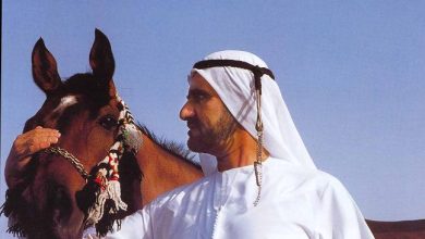 الخيول أهم من المهجرين والبائسين watan.com