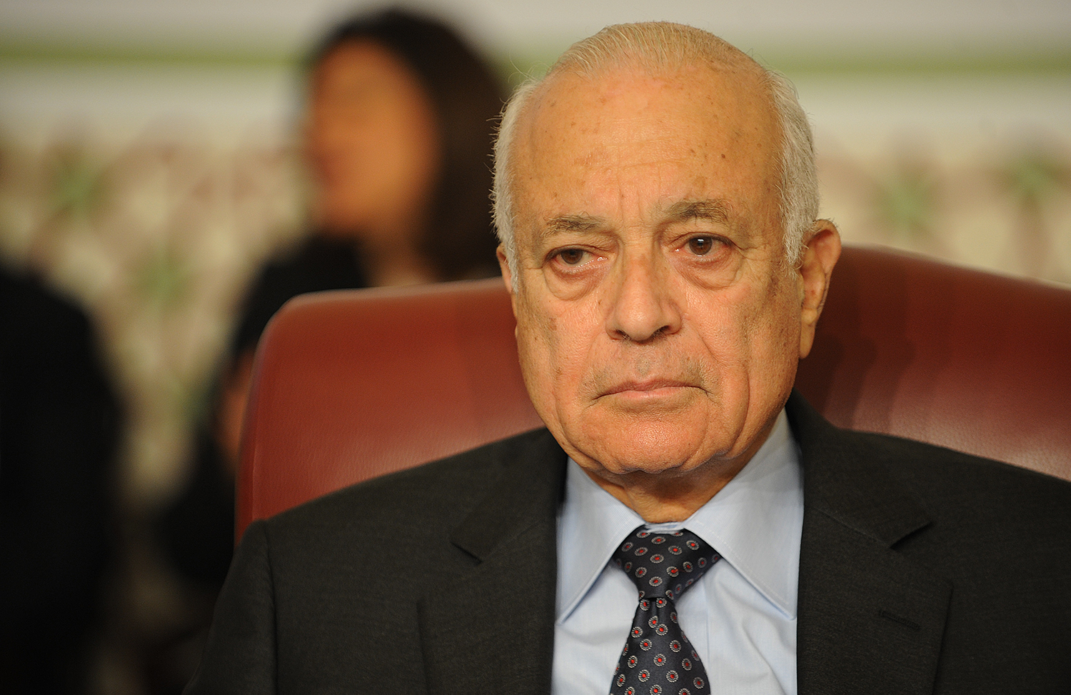 نبيل العربي watan.com