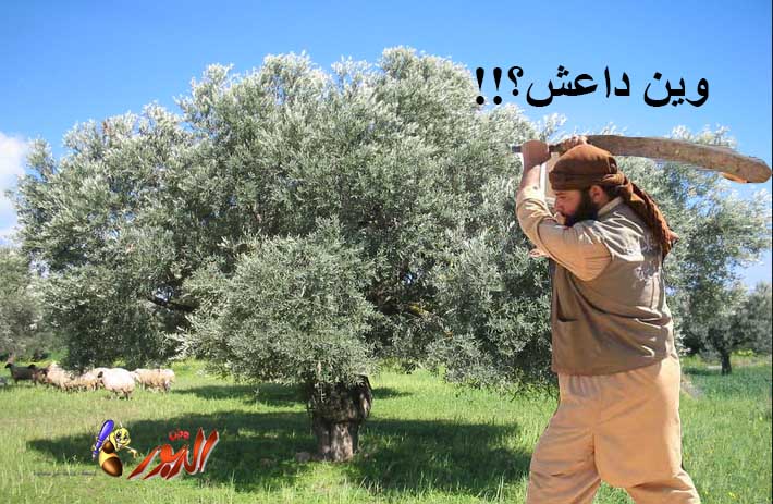 watan.com