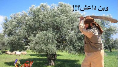 watan.com