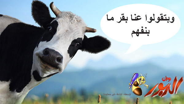 watan.com