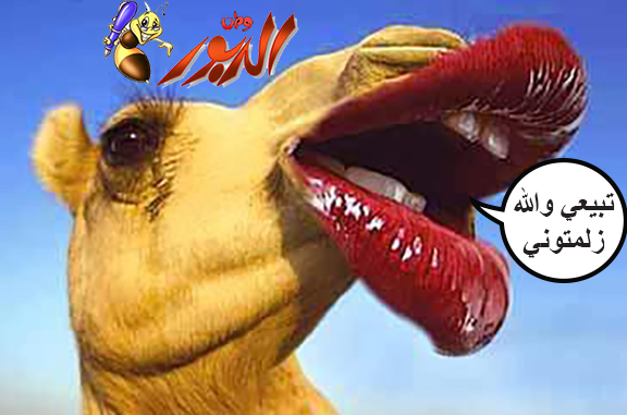 watan.com