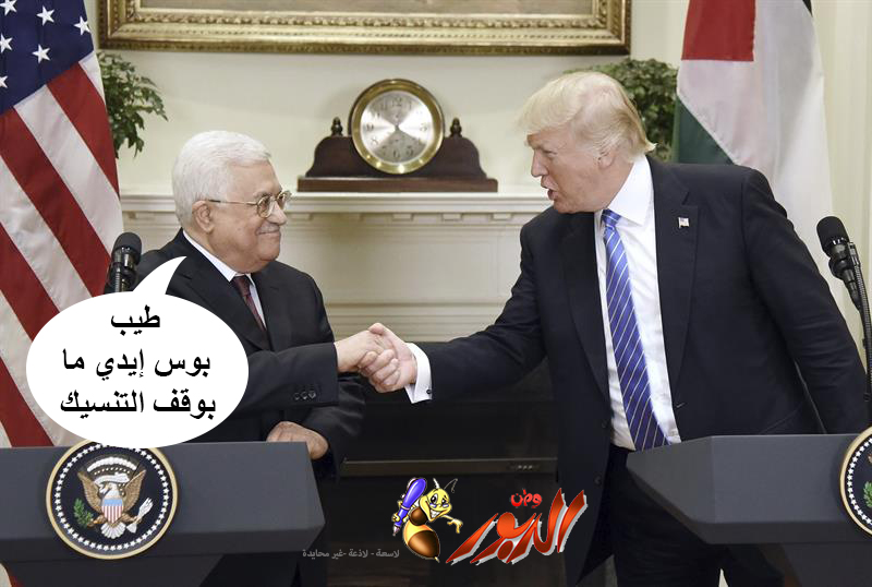  watan.com