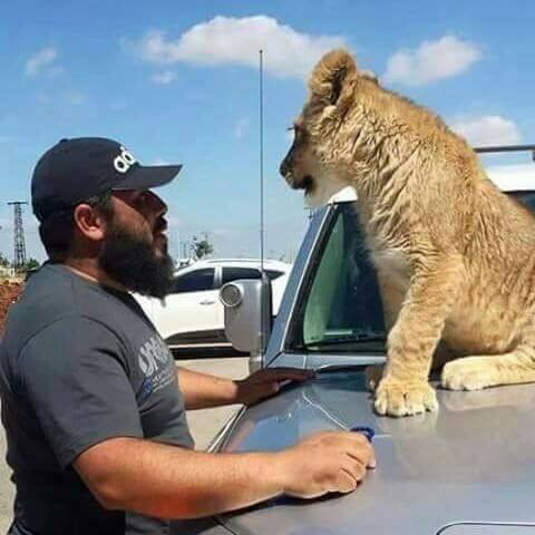 watan.com