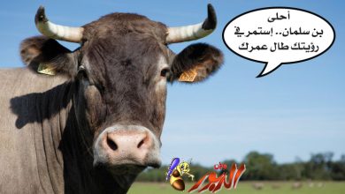 watan.com