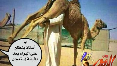 watan.com