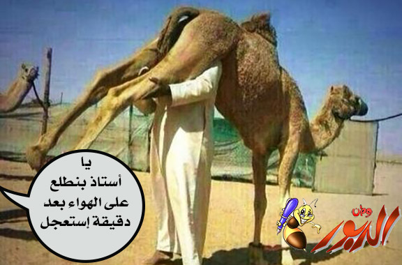 watan.com