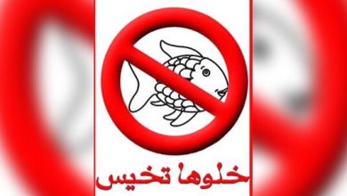 watan.com