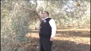 watan.com