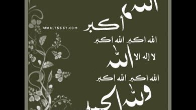 watan.com