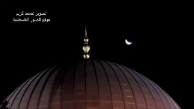 watan.com