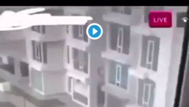 watan.com