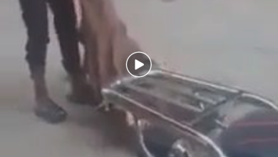 سحل رجل مسن في مصر watan.com